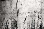 TR-1307.jpg